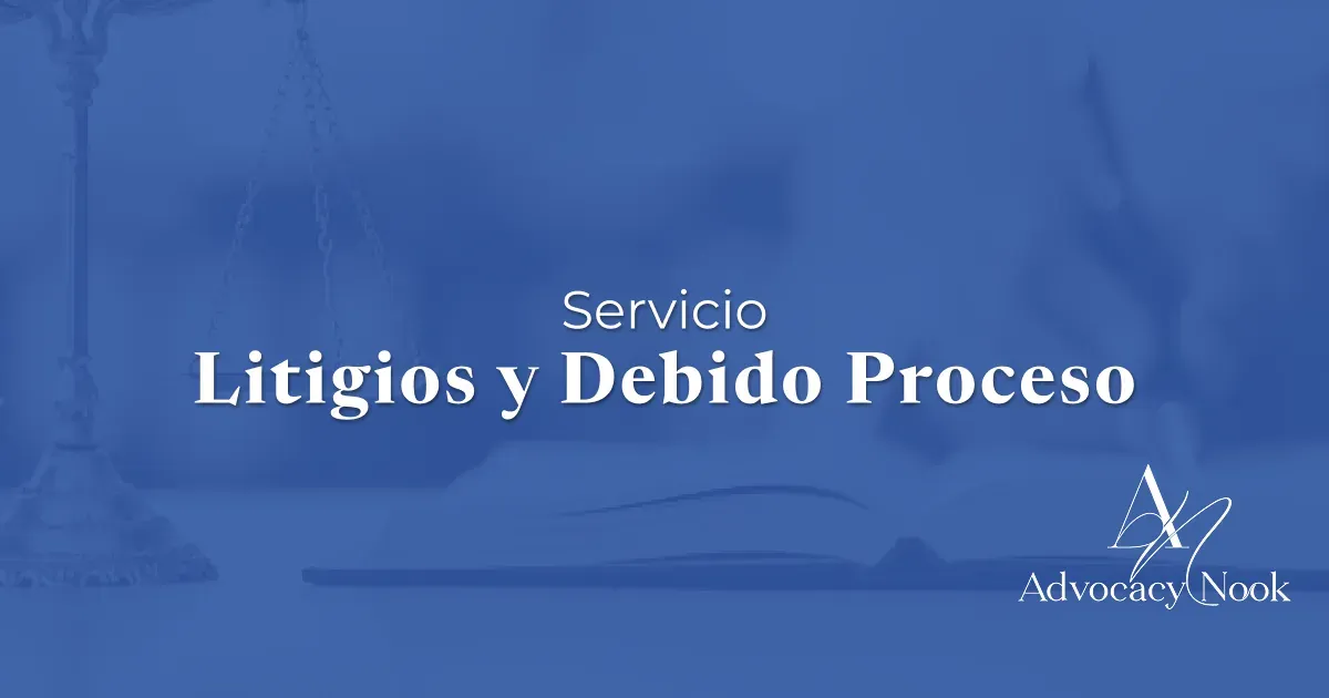 Service - Litigation & Due Process.webp
