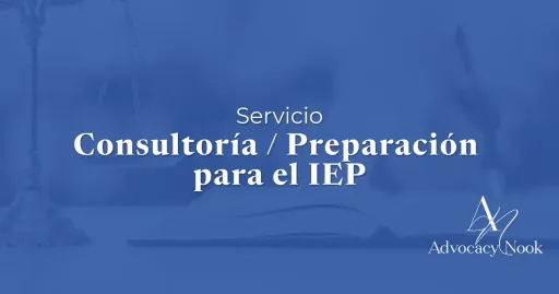 Service - IEP Consulting prep.webp