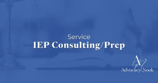 Service - IEP Consulting prep.webp