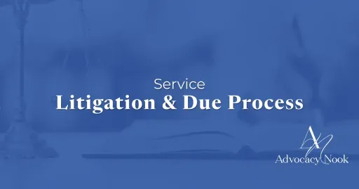 Service - Litigation & Due Process.webp