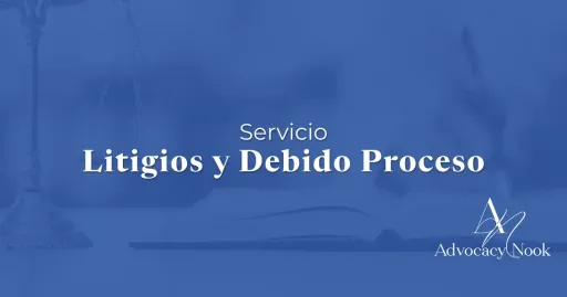 Service - Litigation & Due Process.webp